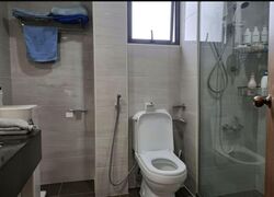 Carissa Park Condominium (D17), Condominium #577819191